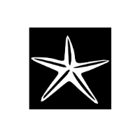 Starfish Company Logo by Lyne Francoeur in Moncton NB