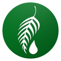 Melaleuca Company Logo by Dante Kilgore in madison 