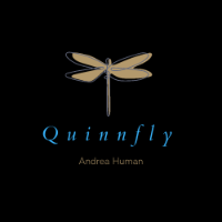 Quinnfly Company Logo by Andrea Human in Calgary AB