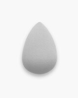 Perfector Sponge