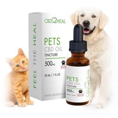 Full Spectrum CBD Hemp Oil for Pets 500mg – Vegan Bacon Flavoured (30 ml Bottle)