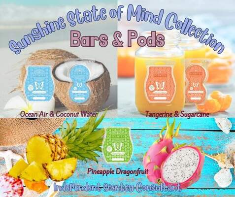 Sunshine State of Mind Collection