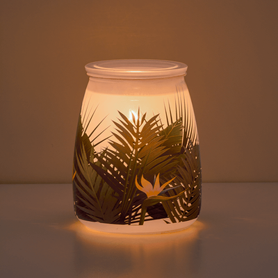 birds of paradise warmer